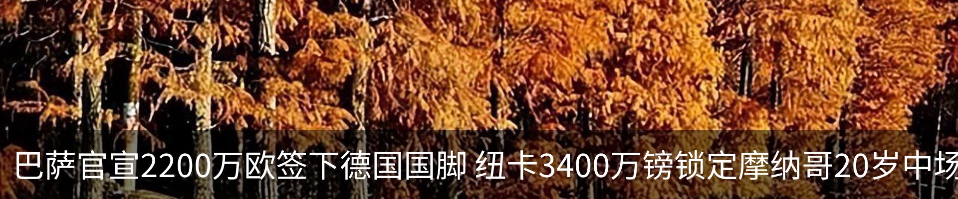 内页banner